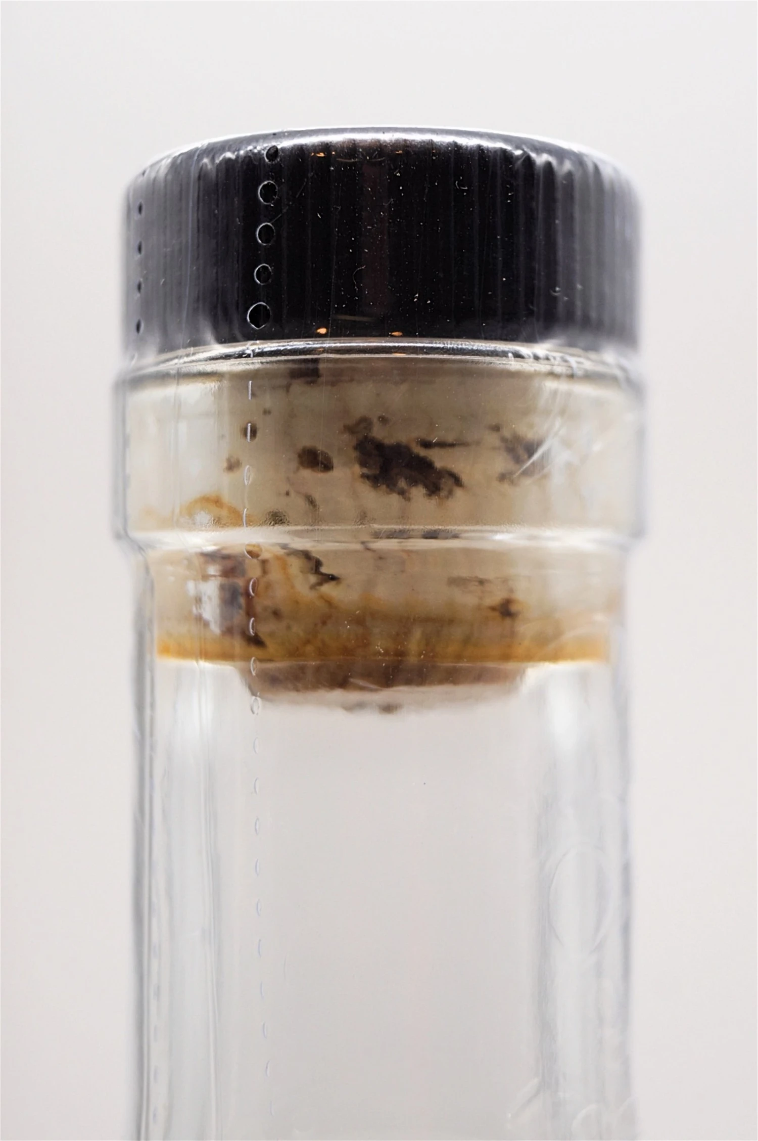 Brimstone 5 Brimstone – Bild 5