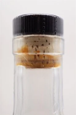 Texas Single Malt Classic Edition -Feine Spirituosen dsc09355