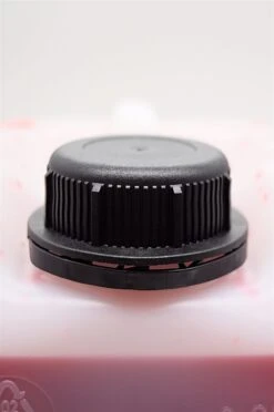 Strawberry Margarita 5 Strawberry Margarita -Feine Spirituosen dsc09491piusseu3dtjrx